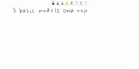 dna-replication-is-said-to-be-semiconservative-because-a-each-new-dna-molecule-contains-one-new-stra-89182