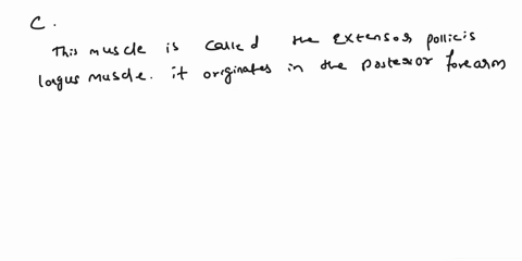 1-the-tendon-of-which-of-the-following-muscles-passes-through-the-2nd-compartment-under-the-extensor-retinaculum-a-the-posterior-forearm-muscle-that-inserts-into-the-base-of-the-distal-phala-51674