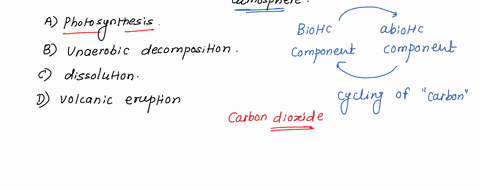 in-the-fast-carbon-cycle-carbon-moves-back-into-the-atmosphere-through-a-photosynthesis-b-anaerobic-decomposition-c-dissolution-d-volcanic-eruptions-73922