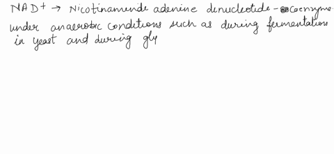 explain-how-nad-can-be-re-generated-under-anaerobic-conditions-in-yeast-and-in-humans-during-glycolysis-51688