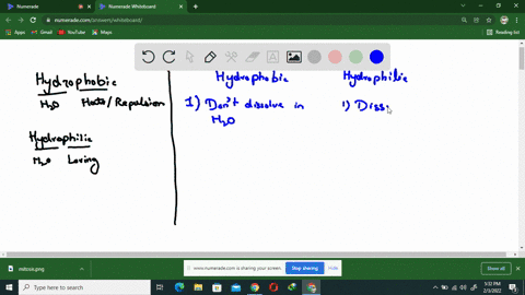 explain-how-you-can-distinguish-hydrophobic-and-hydrophilic-substances