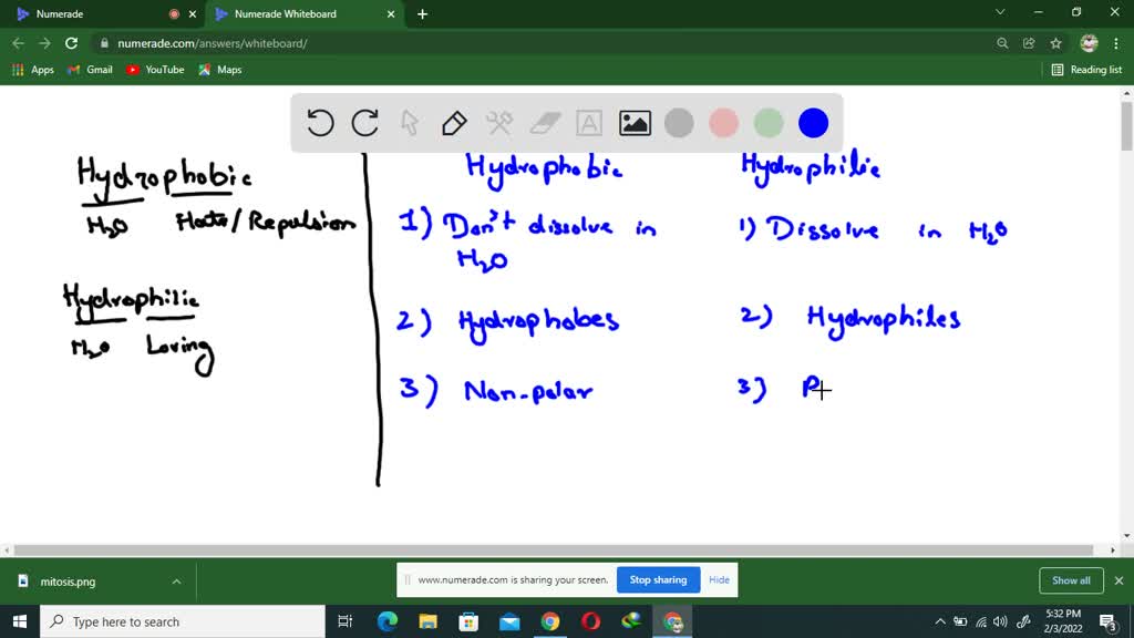 SOLVED: Explain how you can distinguish hydrophobic and hydrophilic