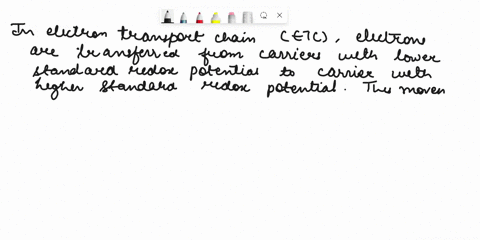 in-electron-transport-chain-etc-electrons-are-transport-from-one-carrier-to-another-until-finally-accepted-by-oxygen-to-form-hzo-which-of-the-following-statements-is-true-for-electron-transp-43944