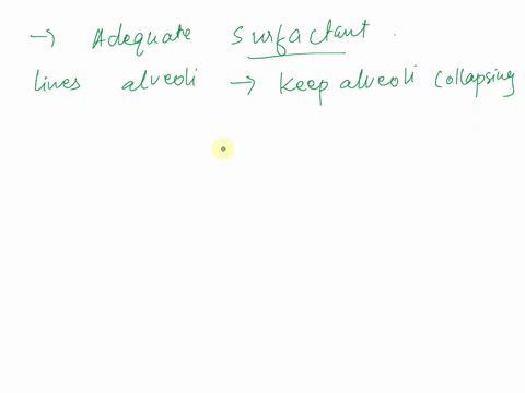 the-lack-of-adequate-surfactant-can-result-in-________-question-options-a-chronic-obstructive-pulmonary-disease-copd-b-infant-respiratory-distress-syndrome-irds-c-asthma-d-tuberculosis-e-ade-04144