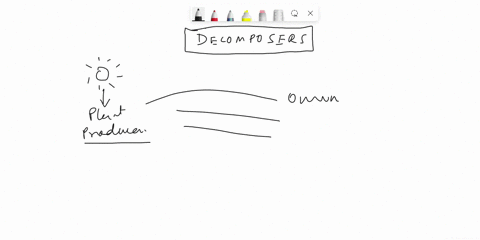 the-organic-and-inorganic-materials-in-all-the-organisms-in-the-diagram-will-poini-eventually-return-to-the-environment-by-the-action-of-decomposers-producers-primary-consumers-secondary-con-10038