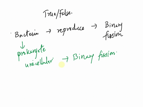 bacteria-replicate-_claothrough-a-process-called-binary-fission-select-one-a-false-b-true-64577