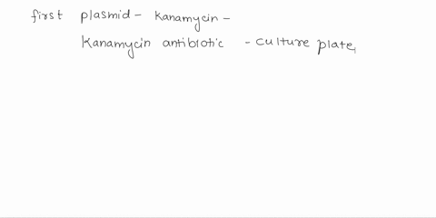 on-plates-containing-both-ampicillin-and-arabinose-what-kind-of-growth-would-vou-expect-to-see-as-a-result-of-transforming-e-coli-cells-with-each-of-the-following-plasmids-fill-in-table-2-wi-13349