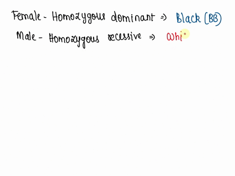 a-female-guinea-pig-homozygous-dominant-for-black-fur-color-is-mated-with-a-male-homozygous-for-white-fur-color-in-a-litter-of-eight-offspring-there-would-probably-be-____-5-points-8-black-g-65633
