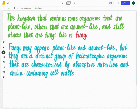 8the-kingdom-that-contains-some-organisms-that-are-plant-like-others-that-are-animal-like-and-still-others-that-are-fungi-like-is-select-one-a-plant-b-animal-c-fungi-d-protist-e-bacteria-42722