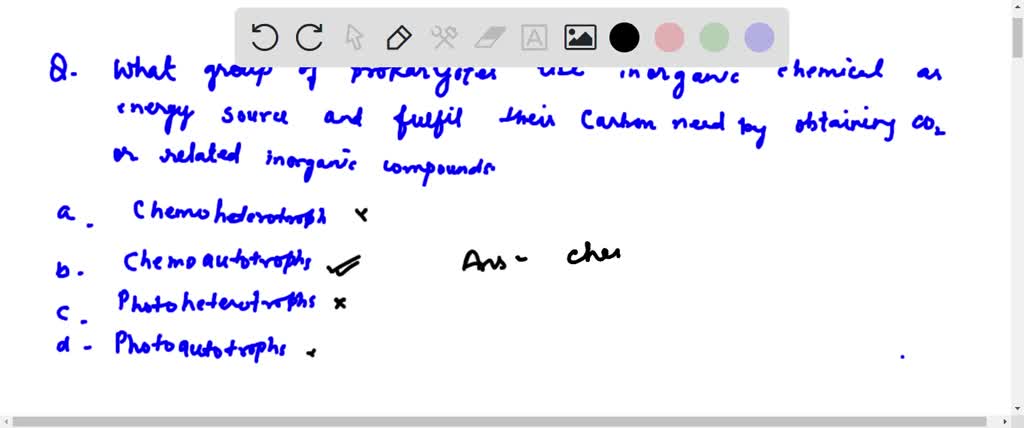 SOLVED: What group of prokaryotes use inorganic chemicals as an energy ...