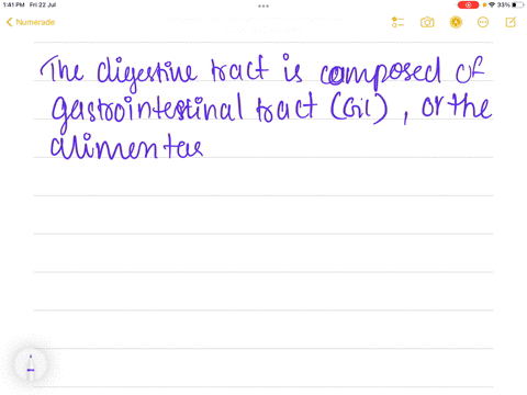 what-are-the-functions-of-the-digestive-tract-91873