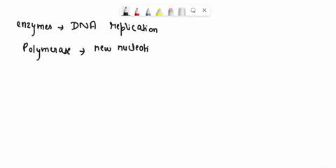 fiom-dna-replication-review-dna-replication-your-text-give-the-complementry-4rands-each-of-the-following-strands-of-dna-remembet-base-pairing-a-tand-g-c-3-acctggaattcgacc-5-turarriaraetery-b-02122