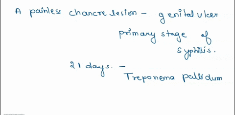 which-of-the-below-is-characterized-by-a-painless-chancre-lesion-chlamydia-gonorrhea-primary-syphillis-candidaisis-93058