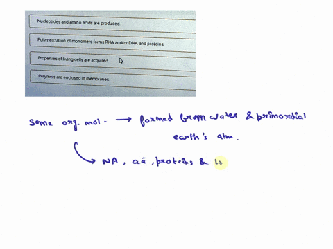 8age-ei-uigin-6-lle-put-the-utrenuy-accepted-sagesofthe-origin-oi-life-their-coirect-order-rackihe-aplonspelow-nudleoildes-ad-aruno-acids-proquced-polymerizaton-of-monomers-forms-rna-adlor-d-93833