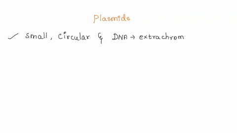 how-are-plasmids-used-in-biotechnology-25348