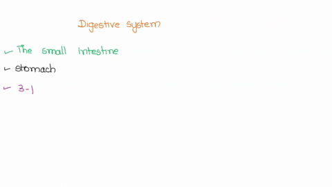 in-the-digestive-system-what-part-of-the-body-precedes-the-large-intestine-24167