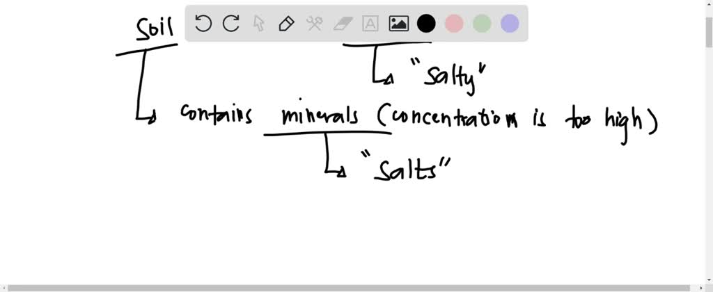 solved-question-4-of-20-select-the-best-answer-for-the-question-4