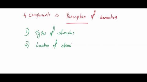describe-the-4-components-involved-in-the-perception-of-a-sensation-44685