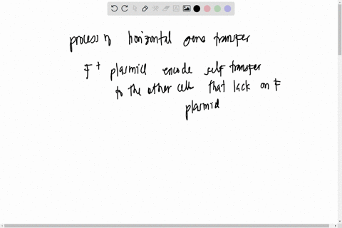 5-conjugation-diagram-the-process-of-conjugation-in-bacterial-cells-using-eplasmid-transfer-in-you-diagram-label-the-parts-of-both-the-donor-and-recipient-cell-draw-an-arrow-then-show-the-re-55912