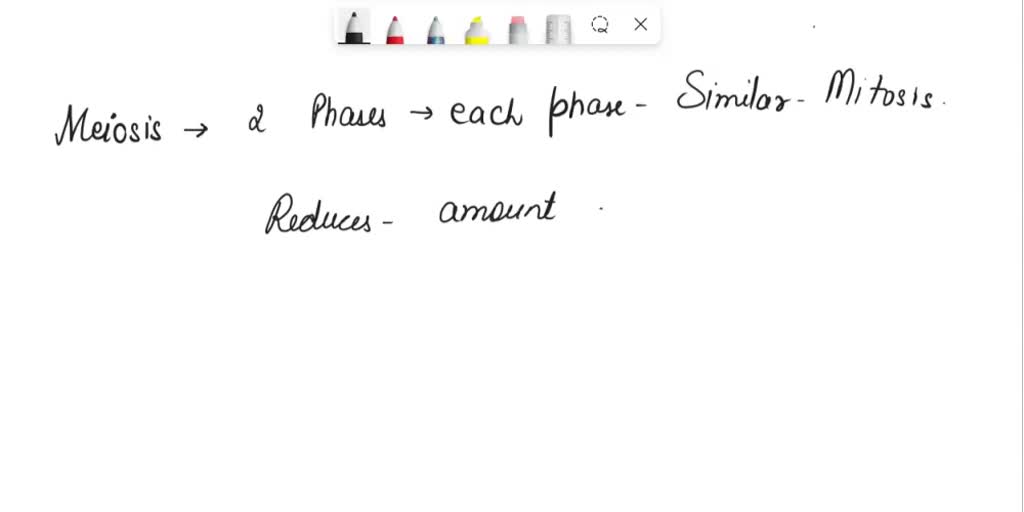 SOLVED True or False Meiosis occurs in two phases (each phase similar