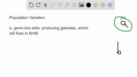 which-are-pathways-of-replication-leading-to-population-variability-and-natural-selection-mutation-occurring-in-the-dna-replication-process-and-gamete-cell-division-occurring-in-meiosis-muta-67457