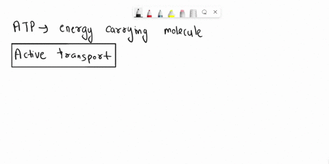 atp-is-being-used-to-move-the-molecules-out-of-the-cell-by-61773
