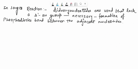 15-3-which-one-of-the-following-statements-correctly-describes-the-process-of-dna-sequencing-by-chain-termination-the-sanger-reaction-the-dideoxynuclegtides-lack-5-oh-groups-and-therefore-ca-63337