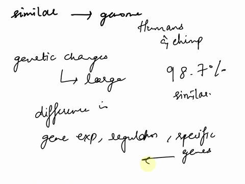 how-similar-are-the-genomes-of-humans-and-chimpanzees-what-genetic-changes-might-be-responsible-fo-3-75027