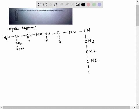 what-would-be-the-overall-charge-of-the-peptide-asp-gly-arg-his-at-ph-1-35683