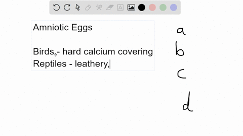 what-are-the-mechanisms-that-protect-and-nurture-the-embryo-in-oviparous-animals-a-the-hard-leathery-70155