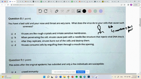 question-6-1-point-the-process-where-viral-genetic-material-uses-the-host-enzymes-to-make-more-viral-genetic-material-is-transcription-translation-reverse-transcription-reverse-translation-q-87746