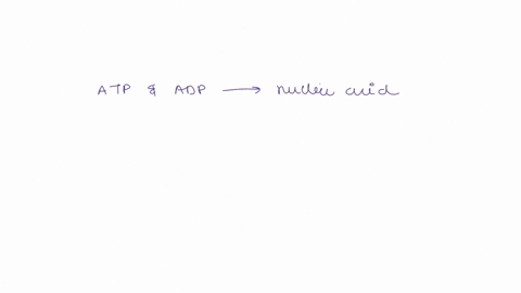 which-type-of-macromolecule-protein-carb-nucleic-acid-or-lipid-is-atp-adp-34615