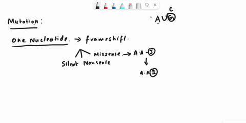 name-the-type-of-mutation-diagrammed-below-with-respect-to-its-effect-on-protein-structure-no-mutation-dna-level-ttc-aag-lys-ttt-aaa-lys-mrna-level-protein-level-nonsense-silent-missense-inv-77082