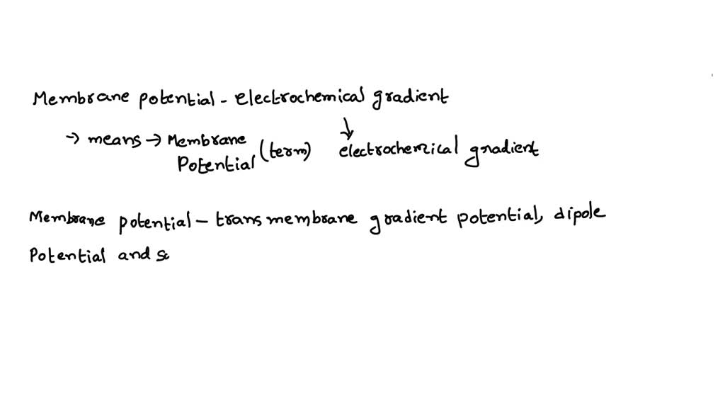 SOLVED what is meant by the term "membrane potential "? what is an electrochemical gradient?