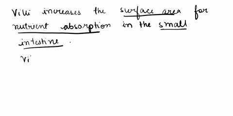 what-is-the-function-of-villi-21744