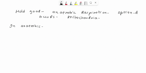 which-of-the-following-options-does-not-hold-good-regarding-anaerobic-respiration-of-fermentation-a-occurs-inside-the-mitochondria-b-partial-breakdown-of-glucose-occurs-c-net-gain-of-only-2-43842