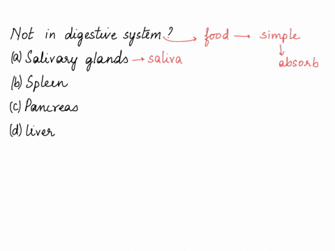 the-organs-of-the-digestive-system-include-all-of-the-following-except-salivary-glands-spleen-pancreas-liver-58528
