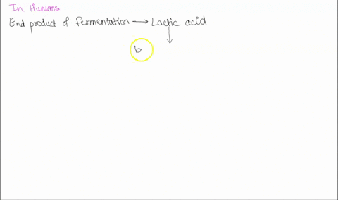 in-the-absence-of-oxygen-glycolysis-can-continue-followed-by-fermentation-pathways-what-builds-up-as-a-result-of-fermentation-pathways-in-humans-how-about-yeast-63031