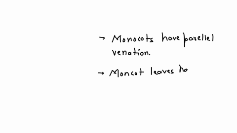 which-of-the-following-is-true-about-monocot-leaves-parallel-venation-entire-margin-petiolate-linear-leaf-form