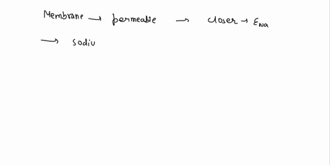 though-the-membrane-of-a-resting-neuron-is-highly-permeable-to-potassium-k-ions-its-membrane-potential-does-not-exactly-match-the-equilibrium-potential-for-potassium-because-the-neuronal-mem-64058