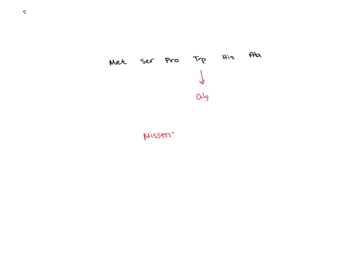 the-following-amino-acid-sequence-is-found-within-the-protein-coding-region-of-a-gene-met-ser-pro-trp-his-ala-in-a-mutant-the-amino-acid-sequence-was-altered-to-met-ser-pro-gly-his-ala-what-46253