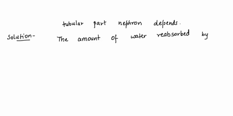 name-the-factors-on-which-the-amount-of-water-reobervation-along-the-tublar-part-nephron-depends-74135