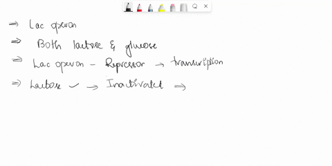 1-the-lac-operon-is-a-positive-repressible-b-both-negative-inducible-and-positive-repressible-c-positive-inducible-d-negative-inducible-2-an-activator-regulatory-protein-a-is-involved-in-neg-96723