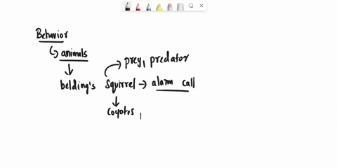 beldings-ground-squirrels-give-different-alarm-calls-depending-on-whether-the-predator-is-an-aerial-vs-ground-predator-these-alarm-calls-alert-other-members-of-their-group-to-the-predation-t-41492