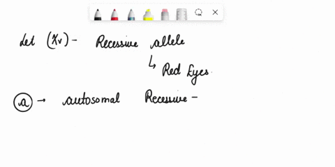 while-vermilion-is-x-linked-in-drosophila-and-causes-eye-color-to-be-bright-red-brown-is-an-autoso-2-60325
