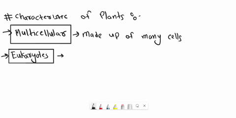 write-down-the-characteristics-of-kingdom-plantae-with-the-help-of-examples-95107