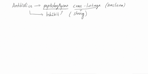 question-4-antibiotics-that-block-the-peptidoglycan-cross-linkage-of-bacterial-cell-wall-include-0-cefuroxime-0-ceftriaxone-0-azlocillin-oxacillin-0-all-of-the-above-0-none-of-the-above-44202