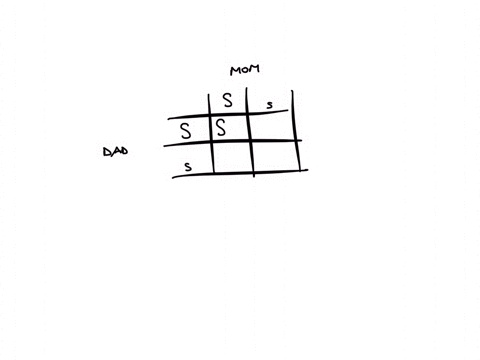 anyone-know-what-to-do-for-punnett-squares-dragons-wilh-spikes-on-iheir-tails-s-cre-dmirant-to-dragons-wth-hammer-iails-s-cross-heterozygous-mom-with-heterozygous-cad_-whal-percentcge-of-ihe-47736