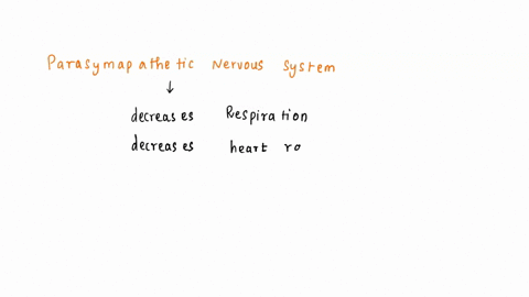 activation-of-the-parasympathetic-nervous-system-results-in-which-of-the-following-responses-1-an-increasein-heart-rate-2-vasoconstriction-3-bronchoconstriction-4-renin-secretion-5-relaxatio-11916