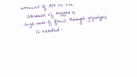 in-the-absence-of-oxygen-cells-consume-glucose-at-a-high-steady-rate-when-oxygen-is-added-glucose-2-46998